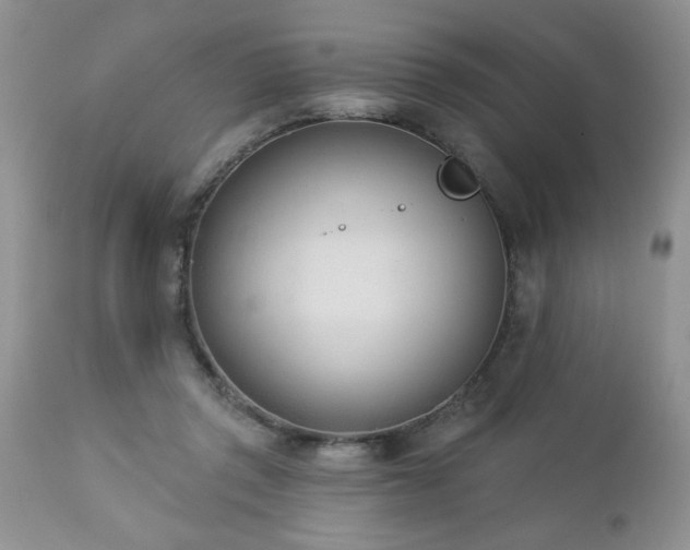 X0000112840357200908211246