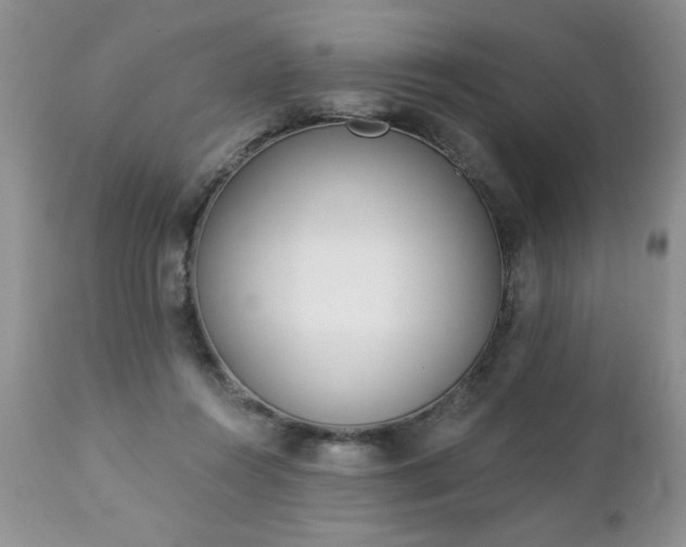 X0000112840360200908211246