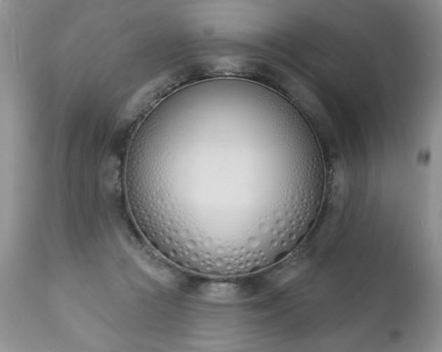 X0000112840361200908211246