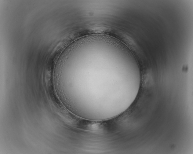 X0000112840365200908211246