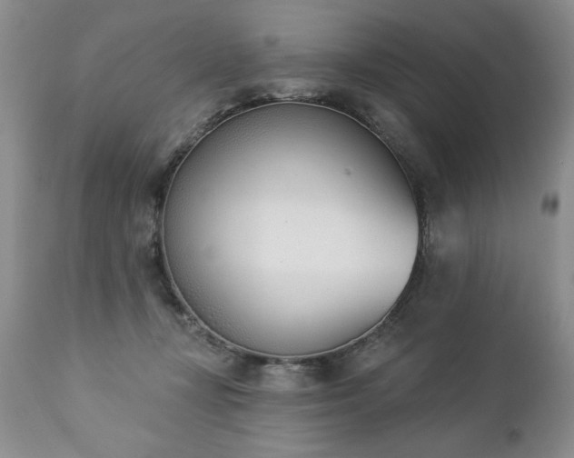 X0000112840367200908211246