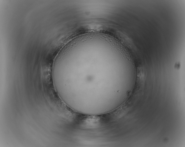 X0000112840369200908211246