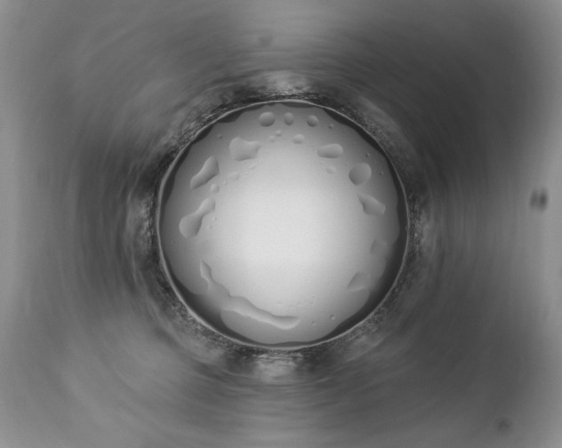 X0000112840373200908211246