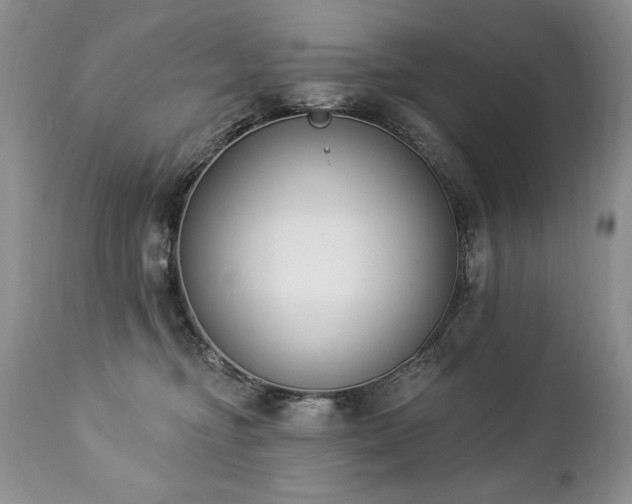 X0000112840374200908211246