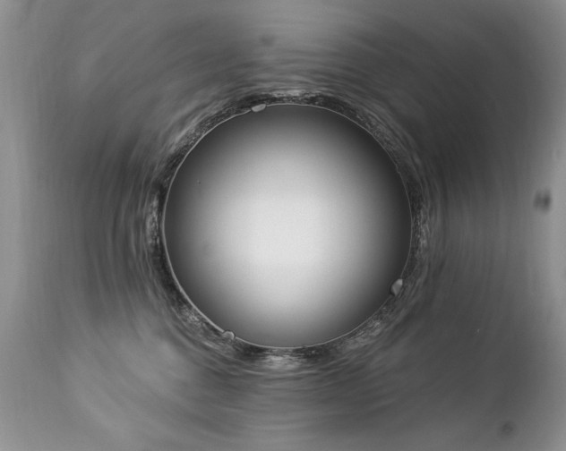 X0000112840376200908211246