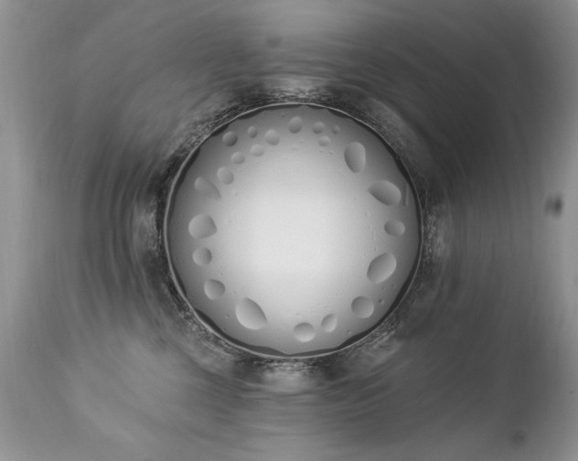 X0000112840377200908211246