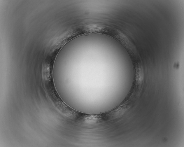 X0000112840378200908211246