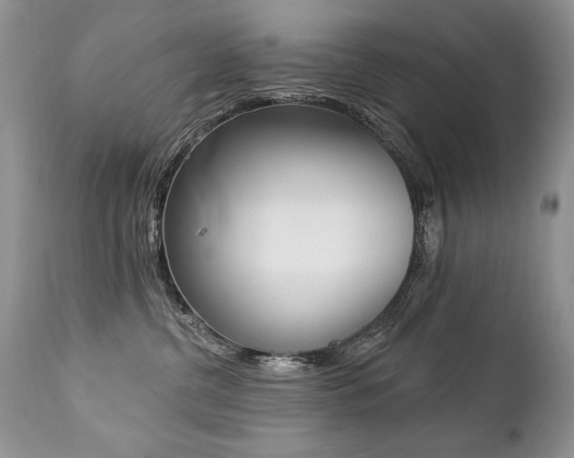 X0000112840380200908211247