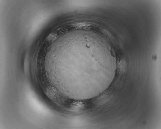 X0000112840381200908211247