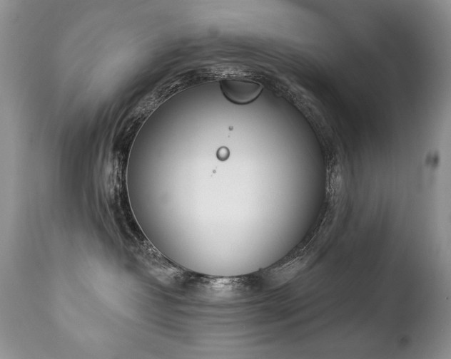 X0000112840382200908211247