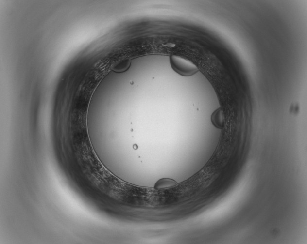 X0000112840383200908211247