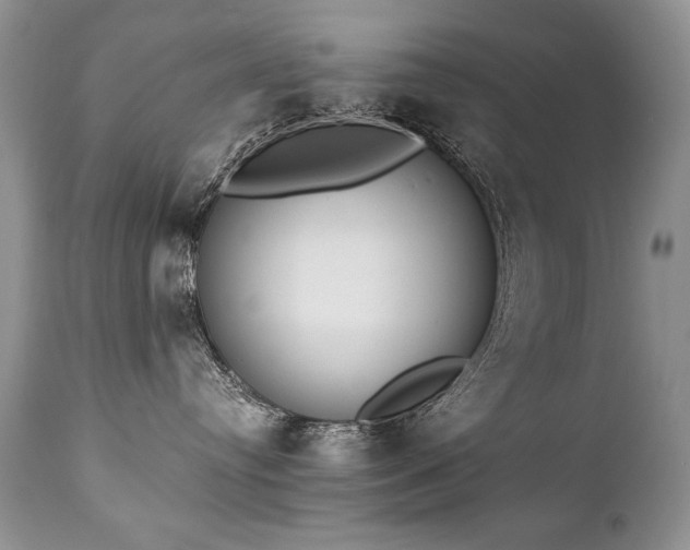 X0000112840384200908211247