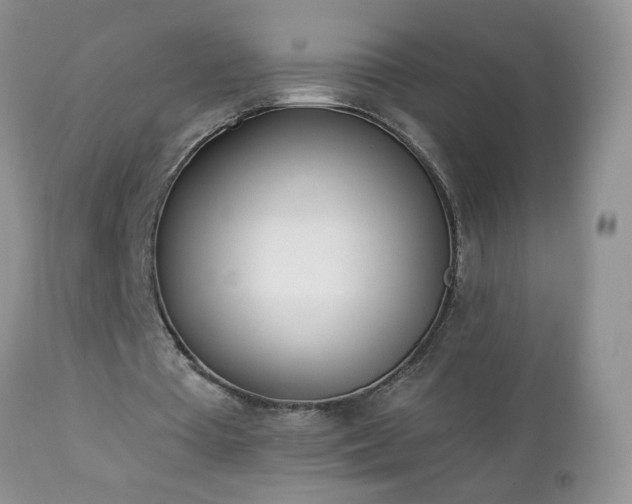 X0000112840385200908211246