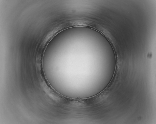 X0000112840386200908211246