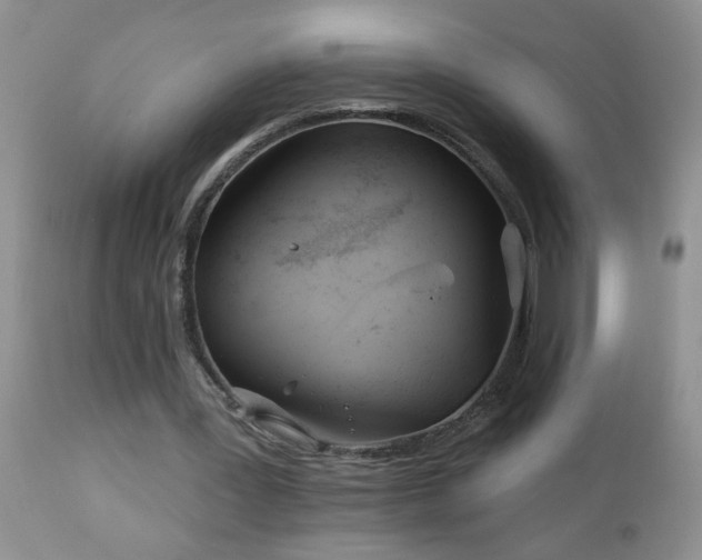 X0000112840387200908211246