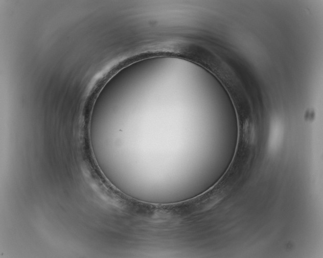 X0000112840388200908211246