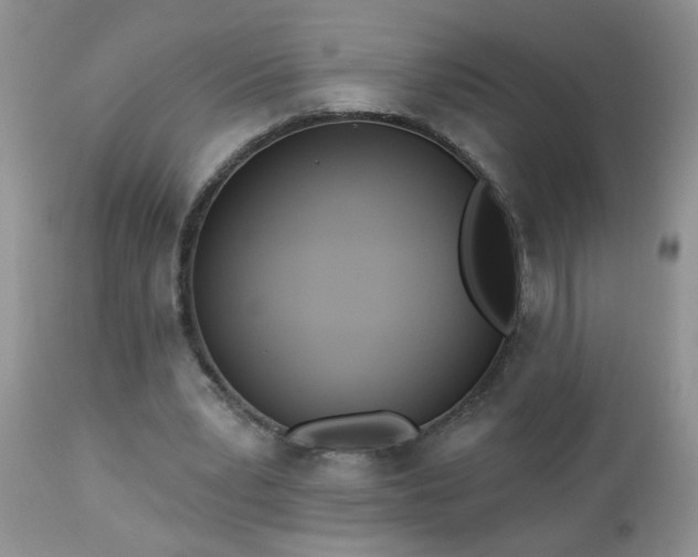 X0000112840391200908211246