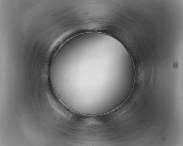 X0000112840392200908211246