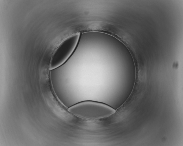 X0000112840393200908211246