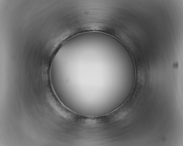 X0000112840394200908211246