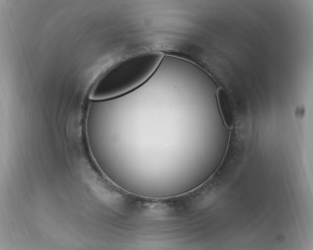 X0000112840395200908211246