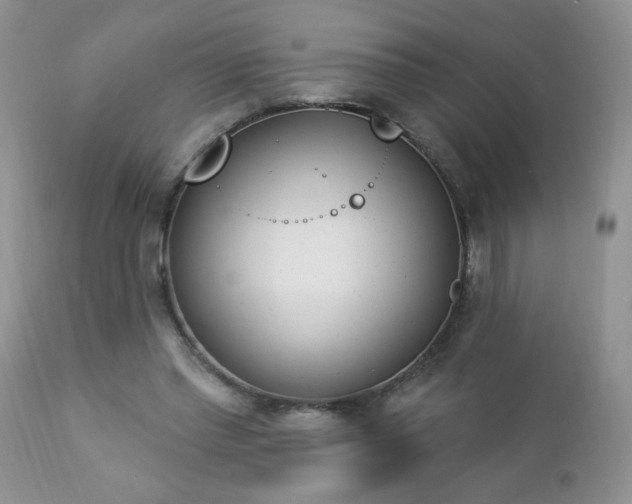 X0000112840397200908211246