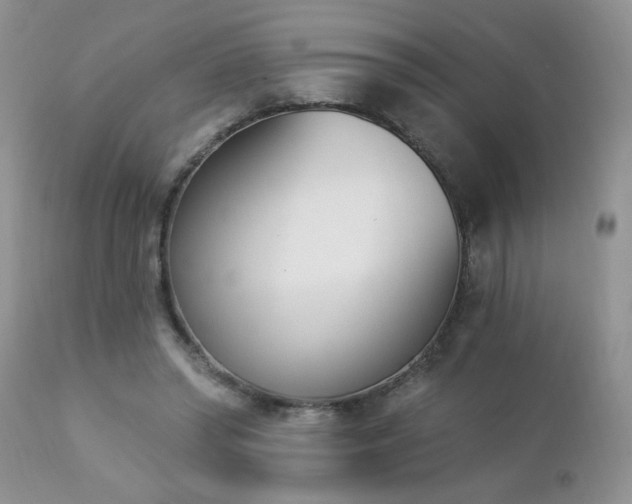 X0000112840398200908211246