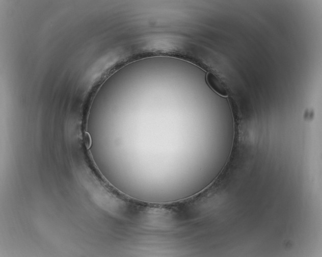 X0000112840399200908211246