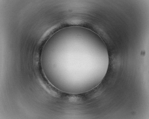 X0000112840400200908211246