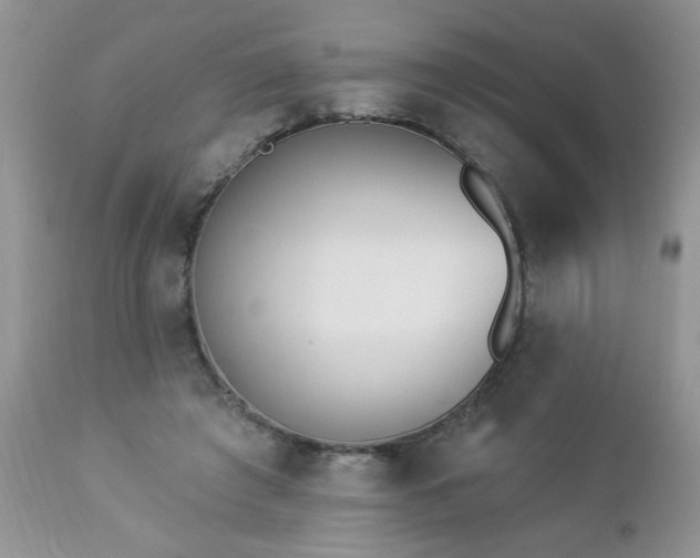 X0000112840401200908211246