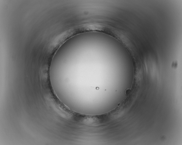 X0000112840402200908211246