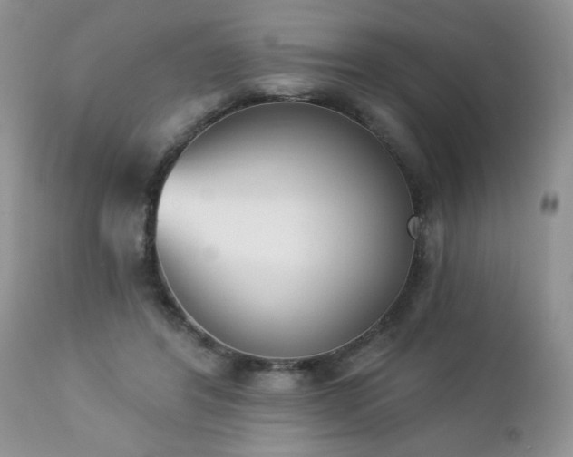 X0000112840404200908211246