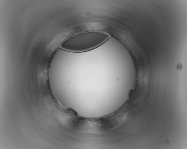 X0000112840405200908211246