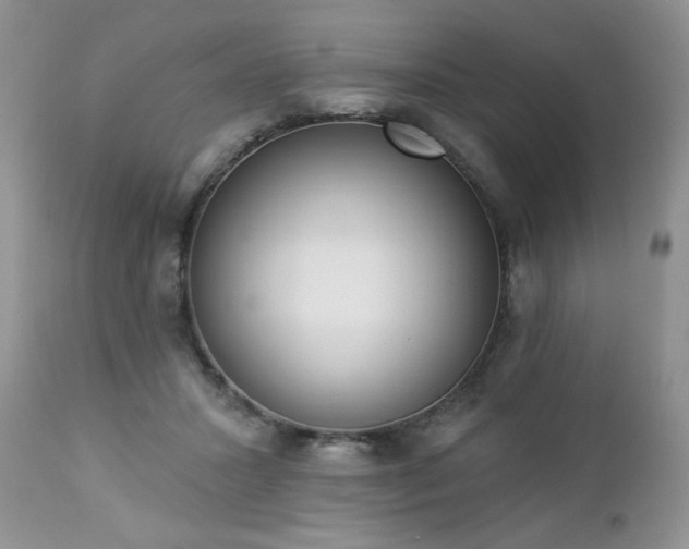 X0000112840407200908211246