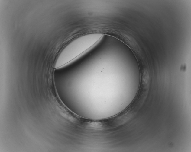 X0000112840409200908211246