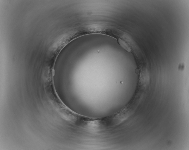 X0000112840411200908211246