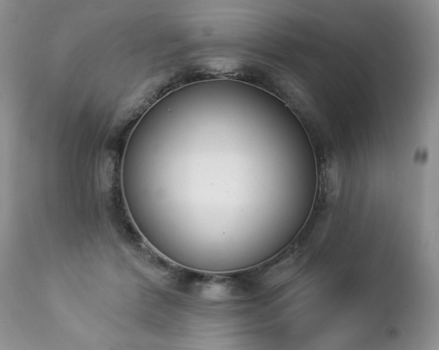 X0000112840412200908211246