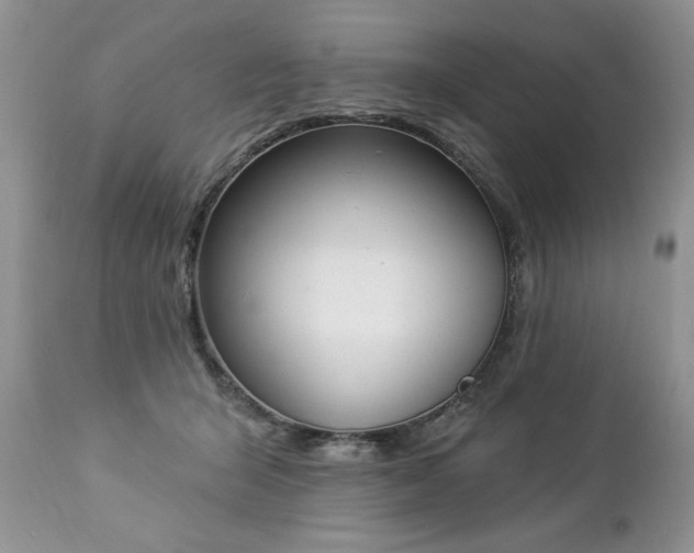 X0000112840415200908211245