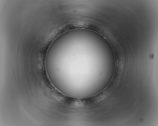 X0000112840416200908211245