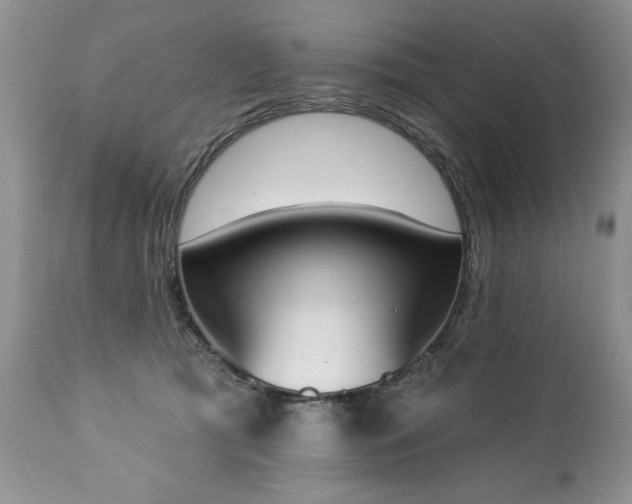 X0000112840417200908211245