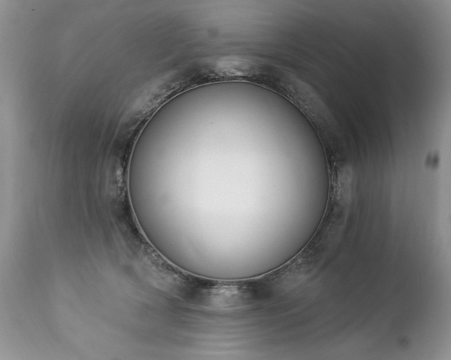 X0000112840418200908211245