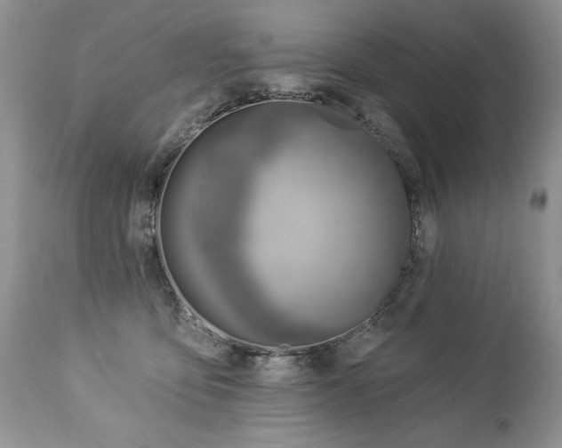 X0000112840419200908211245