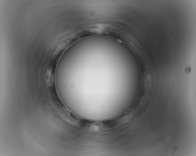 X0000112840420200908211245