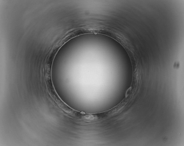 X0000112840421200908211245