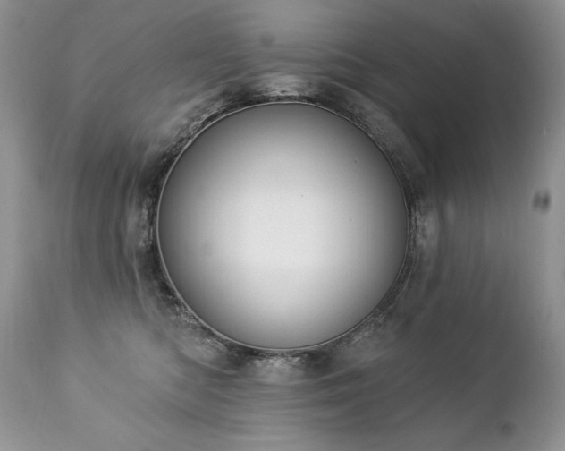 X0000112840422200908211245