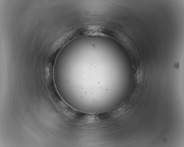 X0000112840424200908211245