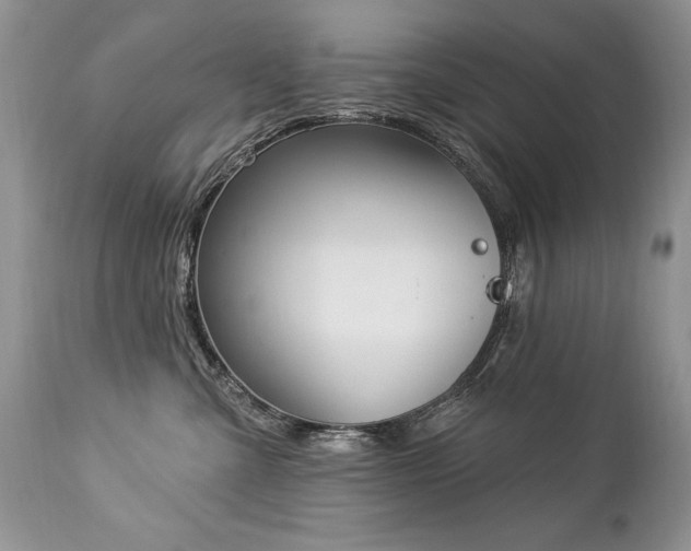 X0000112840427200908211245