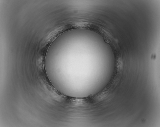 X0000112840428200908211245