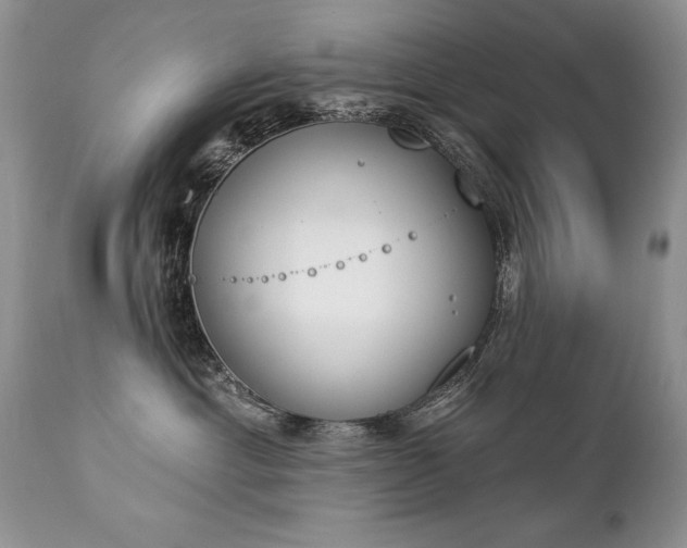 X0000112840429200908211245