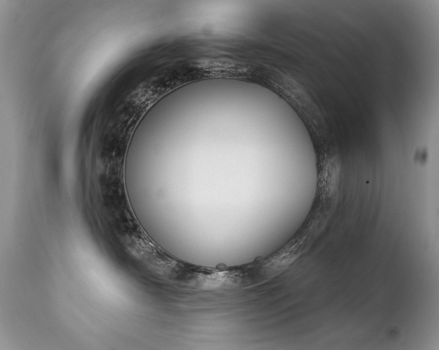 X0000112840430200908211245